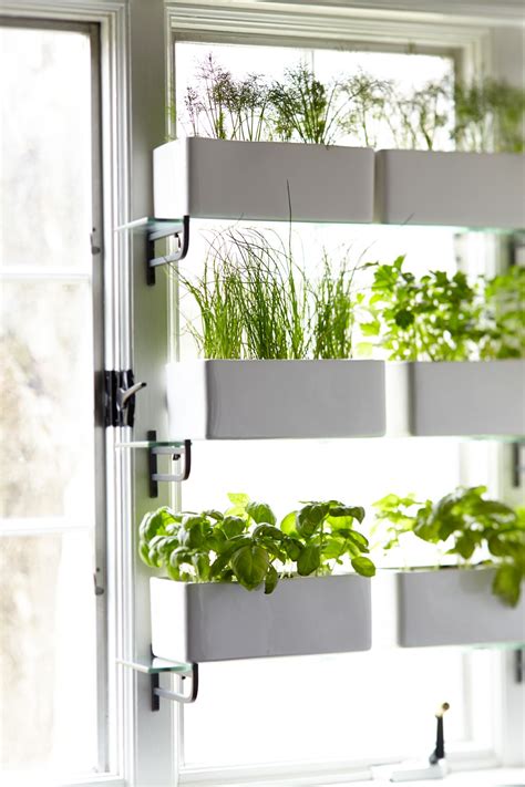 Kitchen Window Privacy Garden Using Ikea Glass Shelves Kitchen Window