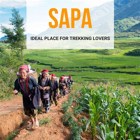 The Best Trekking in Sapa Guide | ORIGIN VIETNAM