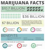 Marijuana Legalization Facts Photos