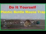 Mouse Trap With Bottle