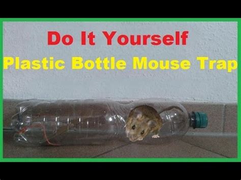 Mouse trap made from plastic bottle,water bottle mouse/rat trap,make rat trap at home thanks for watching.please subscribe,like. How to make a Plastic Bottle Mouse Trap / DIY Animal Trap ...