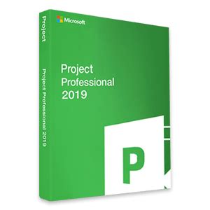 Microsoft Project Professional 2019 in 2021 | Microsoft project, Microsoft, Projects