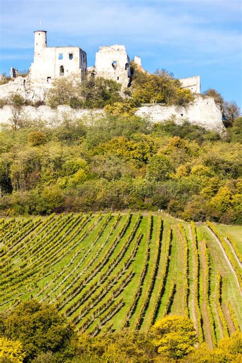 The hill fort is located at the foot of the hohen madrons and petersberg. Ruins Of Falkenstein Castle With Vineyard In Autumn, Lower ...