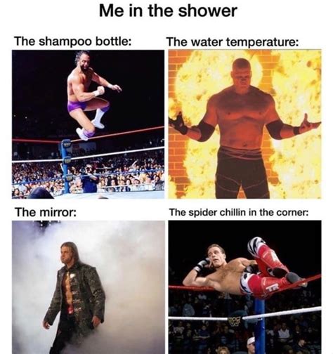 50 Funny Wwe Memes That Will Make You Cry With Laughter