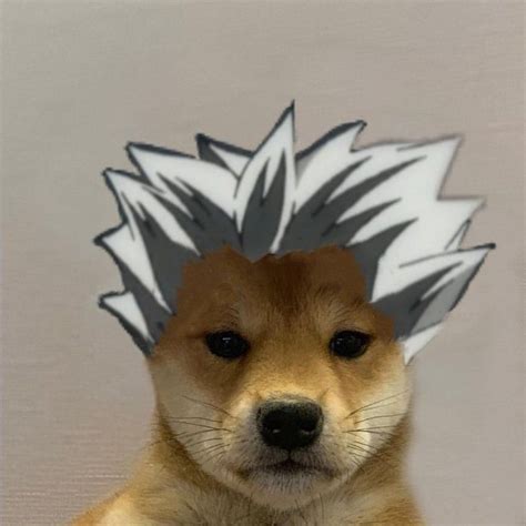 Bokuto 😆 In 2020 Haikyuu Anime Dog Icon Anime Funny