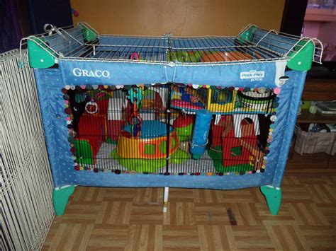 My homemade rat play pen. I used a portable crib, small animal fencing