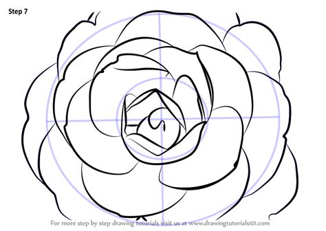 Learn How To Draw A Camellia Flower Camellia Step By Step Drawing