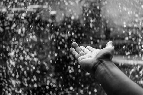 Free Images Hand Person Snow Black And White Sunlight Rain Finger Weather Darkness