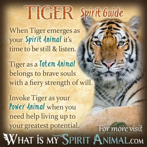 Tiger Symbolism And Meaning Tiger Spirit Animal Power
