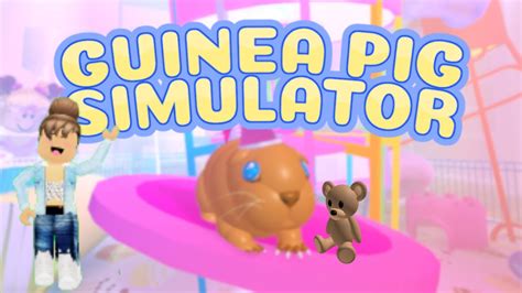 Cute Guinea Pig Simulator In Roblox 🐹 Youtube