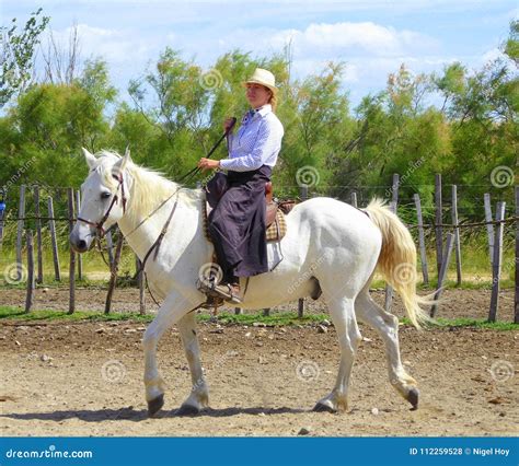 Woman Rider Mounted On White Horse Editorial Stock Photo Image Of