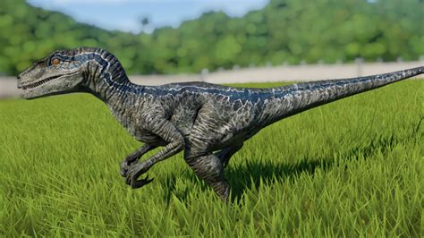 Velociraptor Jurassic World Evolution Wiki Fandom Blue Jurassic World Jurassic World