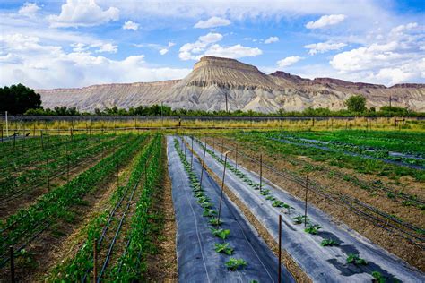 New Funds Available For Colorado Agriculture Processors Producers