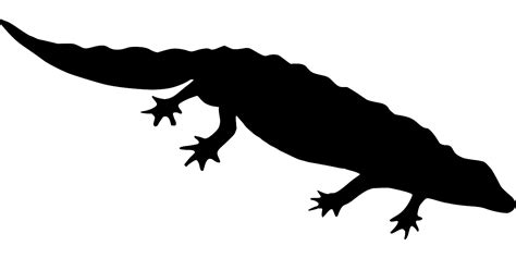 SVG Salamander Free SVG Image Icon SVG Silh
