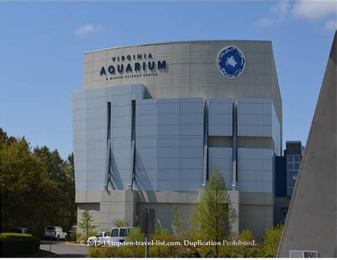 The Virginia Aquarium And Marine Science Aquarium Top Ten