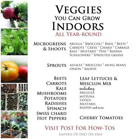 Veggies You Can Grow Indoors See Easy How Tos For