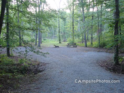 Rushing Creek Campsite Photos And Campground Information