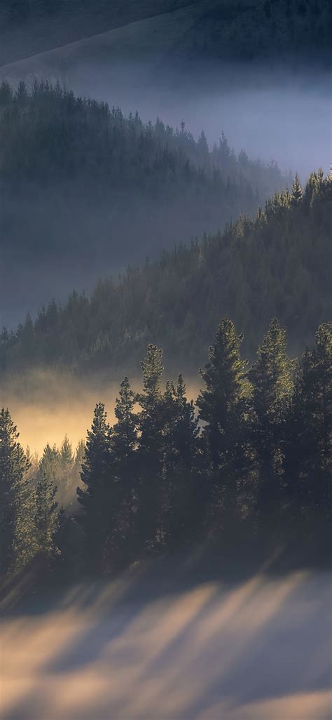 1125x2436 Early Morning Sun Rays Over Trees Mountains 4k Iphone Xs