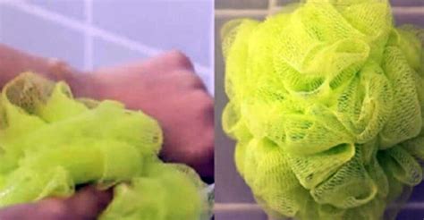 Scientists Are Urging Any One Who Uses A Loofah To Throw It Out Or