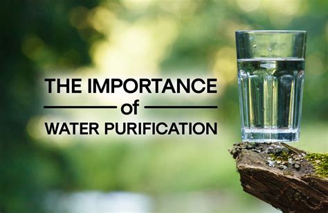 Water Purification Why Is It Important Alive Water Blog