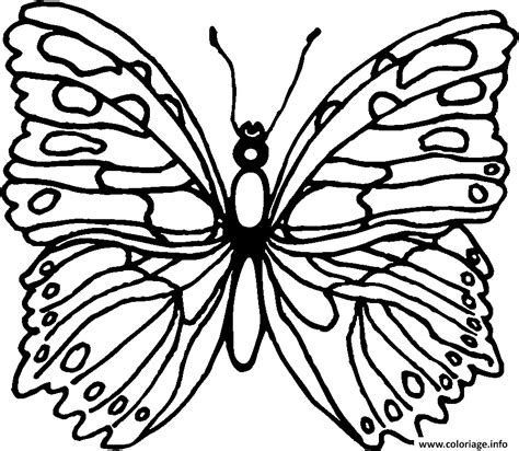 Coloriage Papillon 184