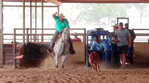 Tie Down Calf Roping On August 13th Round 1 Youtube
