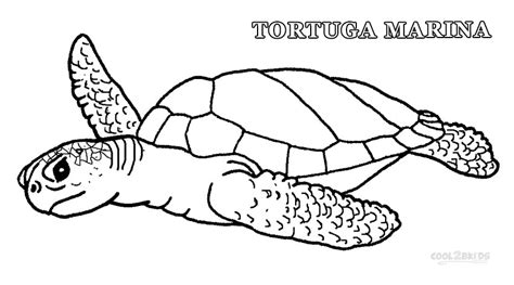 Dibujos De Tortuga Marina Para Colorear P Ginas Para Imprimir Gratis