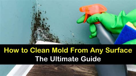 Amazingly Easy Ways To Clean Mold Cleaning Mold Diy Home Cleaning Household Cleaning Tips