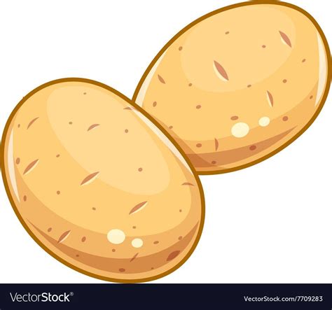 Couple Potatoes Vector Illustration Isolated White Background