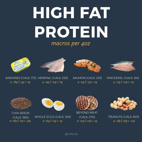 these 50 high protein foods will help you hit your macros