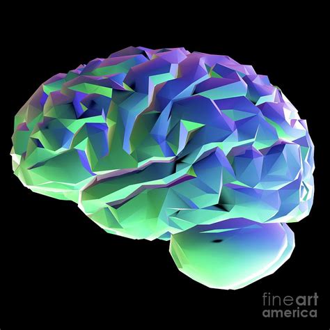Human Brain Photograph By Russell Kightleyscience Photo Library Fine