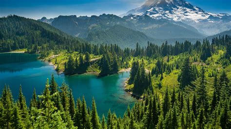 Wallpaper Mount Rainier Eunice Lake Washington State