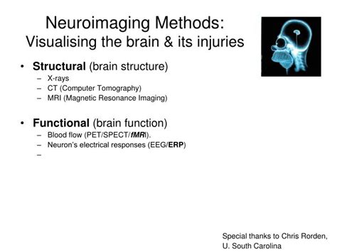 Ppt Neuroimaging Methods Visualising The Brain And Its Injuries