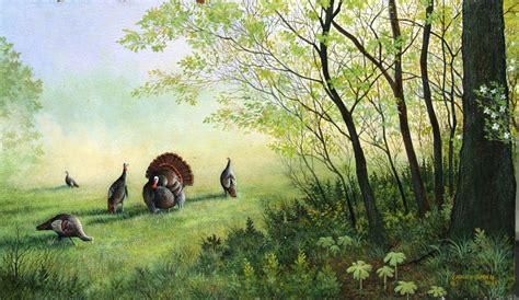 Spring Turkey Hunting Wallpaper 58 Images