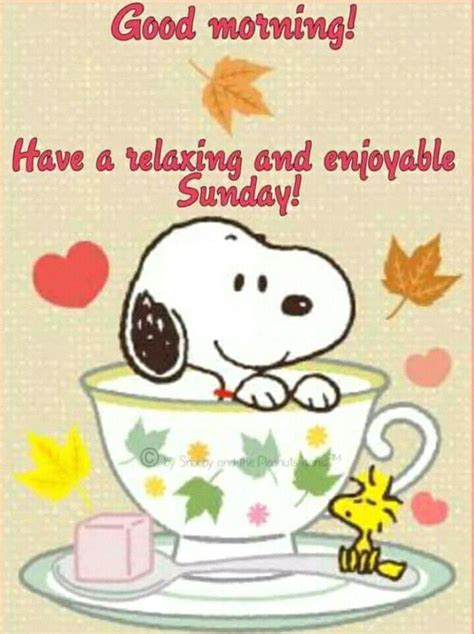 Good Morning Have S Good Sunday Good Morning Snoopy