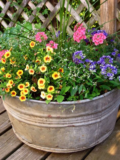Flowers For Full Sun Heat Pot Contains Four Types Of Heat Tolerant