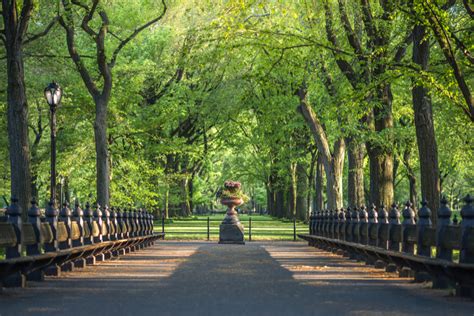 The Hotel Beacon Guide To Central Park Part 2