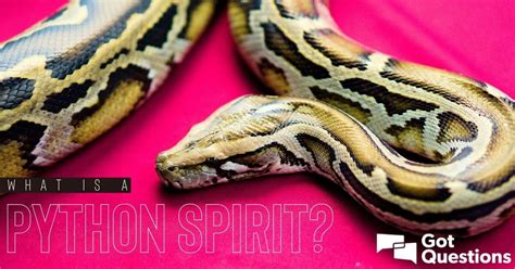 What Is A Python Spirit