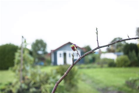 Garten im oktober welche gartenarbeiten im oktober zu tun gartentipps gartenpflege im oktober. Garten im Oktober: Was vor dem Jahresende noch ansteht