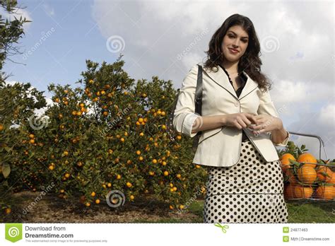Woman Picking Oranges Stock Image Image Of Grove Field 24877463