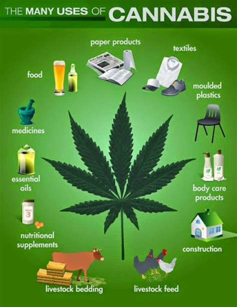 the many uses of hemp and the food and products it provides get…