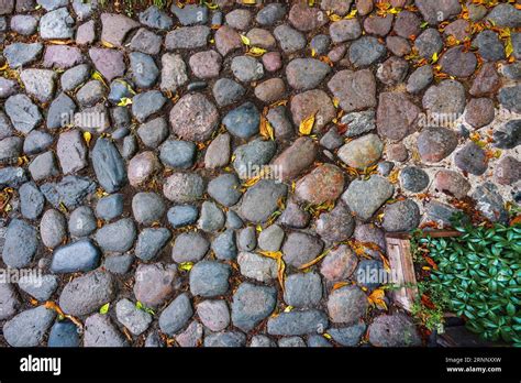 Rustic Stone Floor Texture With Pebbles Stock Photo Alamy