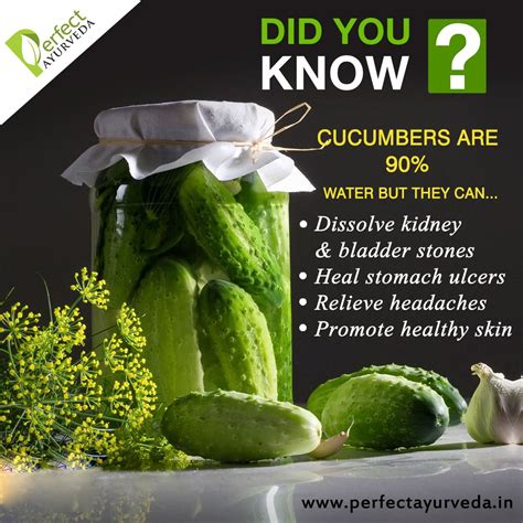 👉health Benefits Of Eating Cucumber 👉have A Look And Stay Healthy