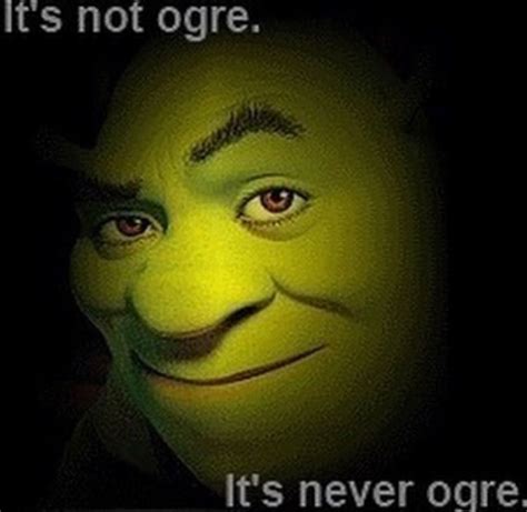Really Funny Pictures Funny Profile Pictures Reaction Pictures Shrek