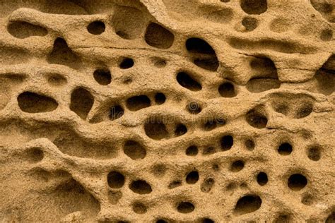 Limestone With Holes By Weathering And Erosion Weathered Sandstone