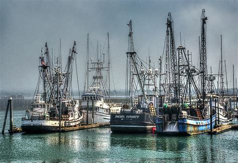 Westport Fishing Fleet Washington Coast Photograph By Greg Sigrist