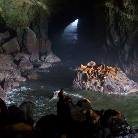 5 Stunning Sea Cave Spots To Explore On The Oregon Coast