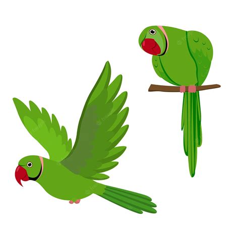 4700 Green Parrot Illustrations Royalty Free Vector Graphics Clip