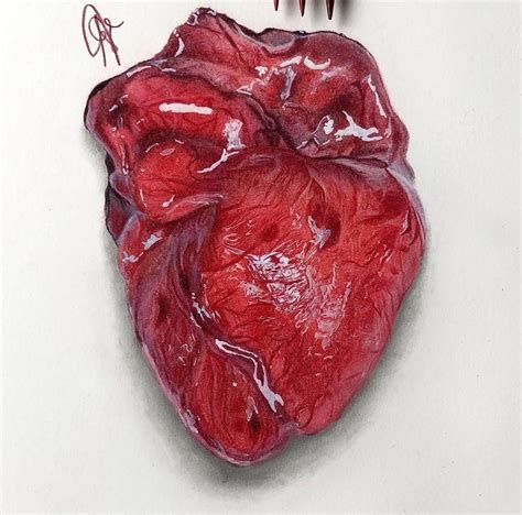 10 Realistic Heart Drawings And Tattoos Simple Human