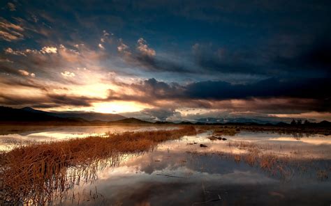 วอลเปเปอร์ ทะเลสาบ หญ้า ฤดูใบไม้ร่วง ตอนเย็น เมฆ 1680x1050